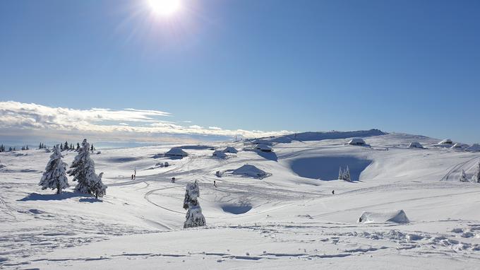 Letos je na Veliki planini zapadlo toliko snega kot že dolgo ne, nam je v pogovoru dejal kamniški župan. | Foto: STA ,