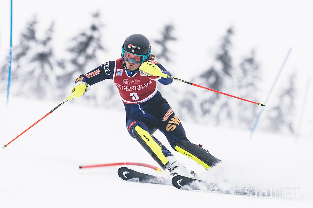 Zlata lisica, slalom