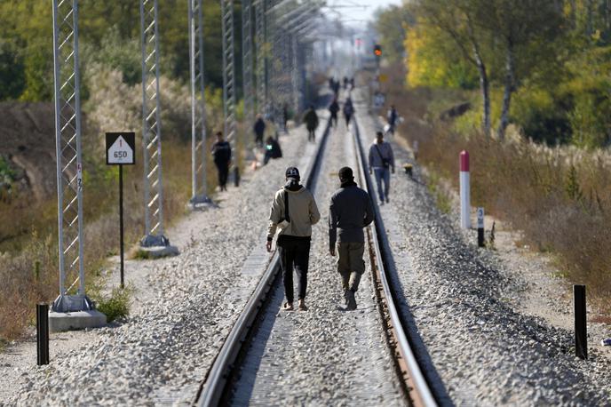 Migranti na madžarsko-srbski meji | Do konca oktobra je namero podaje prošnje za mednarodno zaščito napovedalo 39.837 migrantov, kar je prav tako manj kot v enakem obdobju lani (48.994). Daleč največ je bilo takih, ki so letos podali namero, državljanov Sirije, a jih večina nato hitro zapusti Slovenijo. | Foto Guliverimage