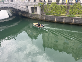 Čistilna akcija Ljubljana 2024