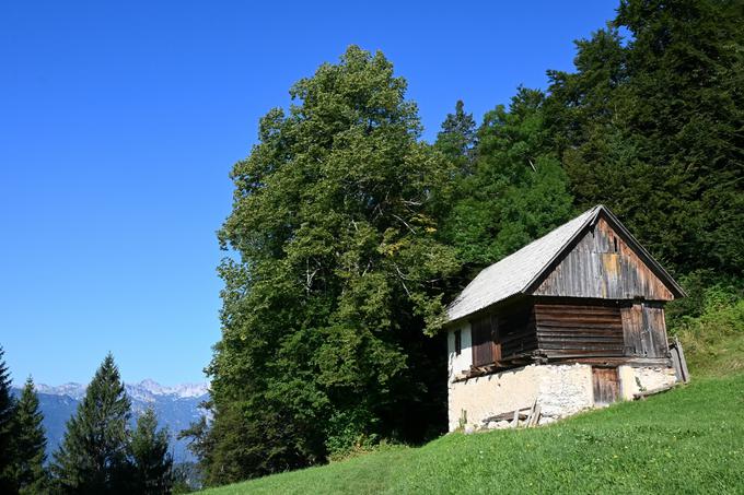 Planina Javornica. Pri tej stavbi krenemo v gozd in 20 minut naprej po vlaki so Zajamniki. | Foto: Matej Podgoršek