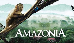 Amazonija (Amazonia)