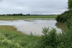 Neurje prizadelo območja občin Šentilj, Ormož, Ptuj in Hajdina