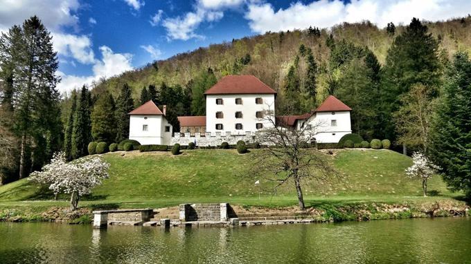 Strmolsko jezero je v neposredni bližini gradu Strmol, zahodno od naselja Dvorje v bližini Cerkelj na Gorenjskem. | Foto: www.mojajezera.si