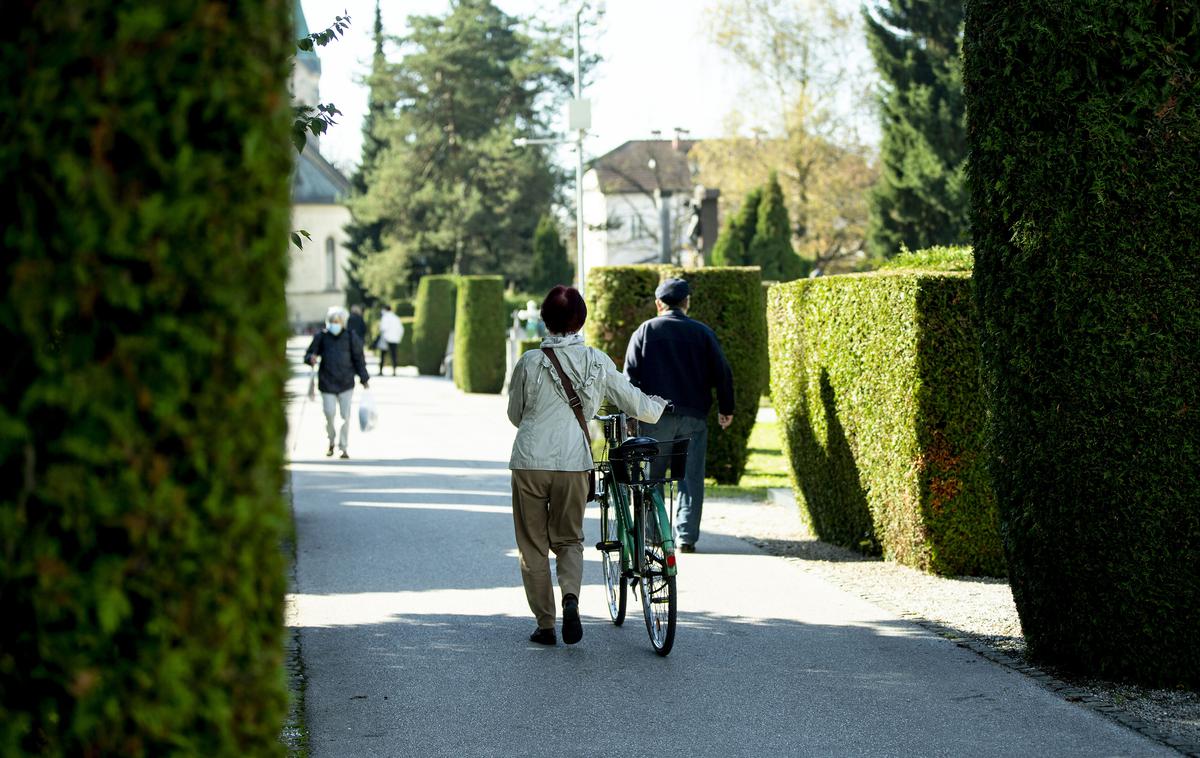 Pokopališče Žale |  V Žalah načrtujejo, da bodo leto zaključili s čistim dobičkom v višini 60.500 evrov, v LPT pa letos načrtujejo 259.300 evrov čistega dobička. | Foto Ana Kovač