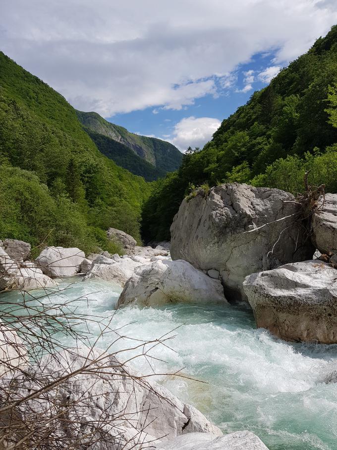 Iskalna akcija Britanec Bovec | Foto: policija