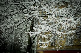 Sneženje v Ljubljani