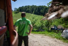 Ekološka kmetija Valentan Vodole Malečnik vino vinograd