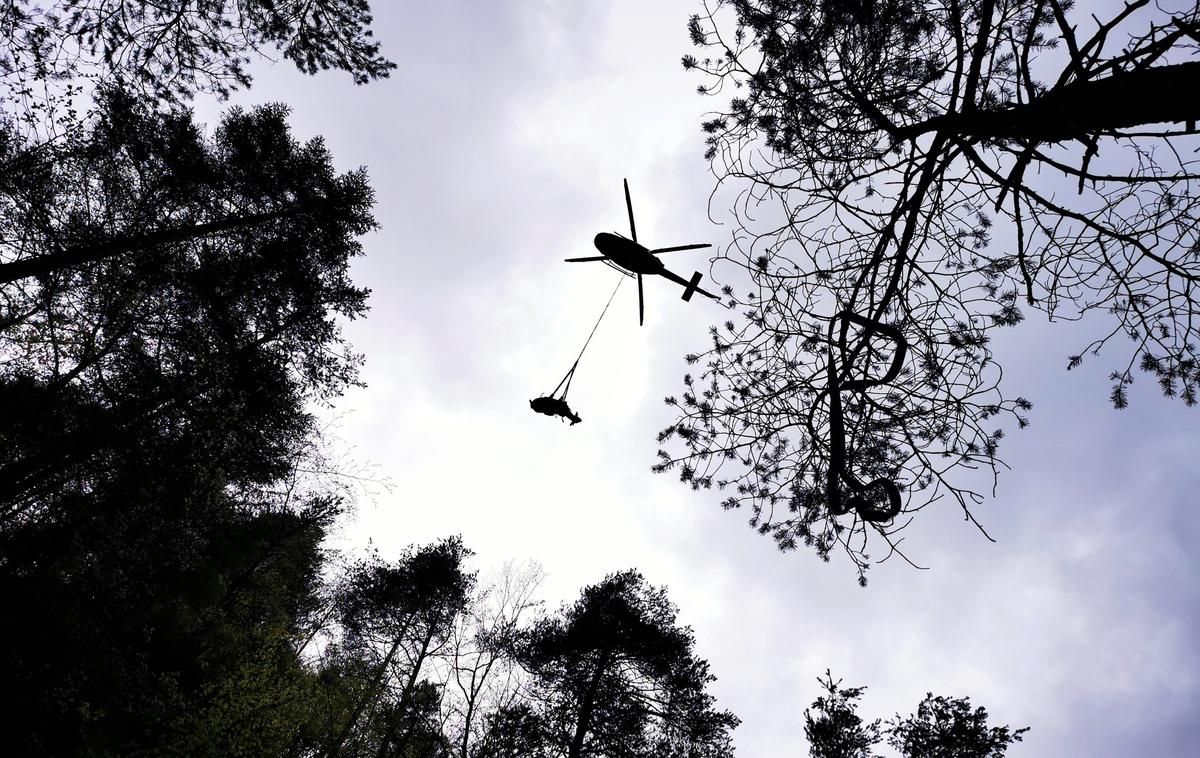 Bik | Mladi bik tehta okoli 400 kilogramov. Iz tolmuna so ga potegnili s helikopterjem.  | Foto Gorska reševalna zveza Slovenije