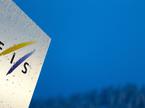 FIS logo