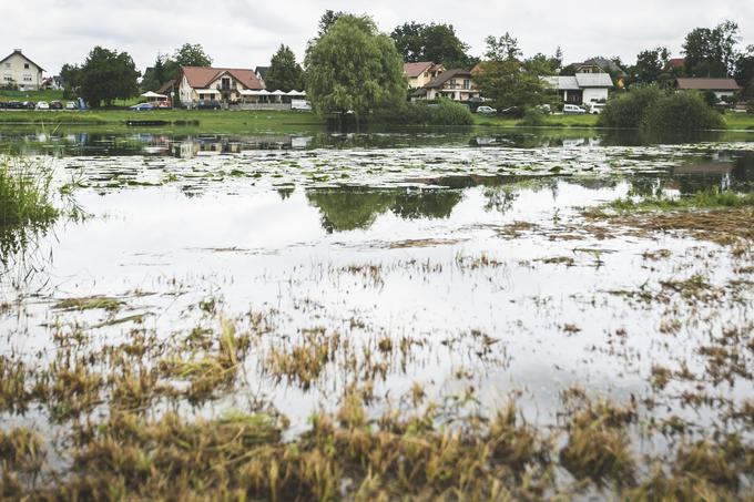 Podpeško jezero | Foto: Bojan Puhek