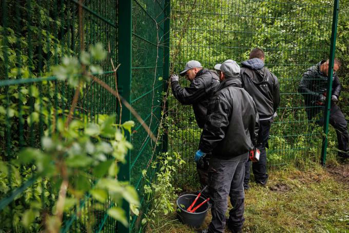 južna meja, odstranjevanje ograje | Foto: Matic Prevc/STA