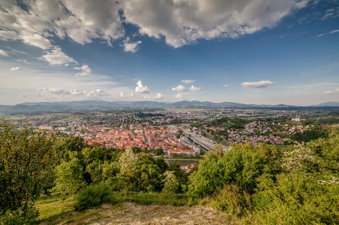 celje | Foto: Getty Images