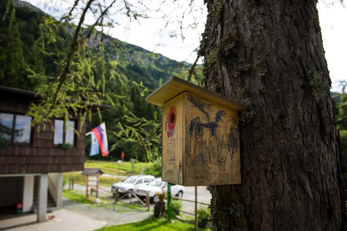 "Ljudje, ki jim hribi niso blizu, niti niso hribovci po duši, ob takem delu ne bodo zdržali," pravi Štefe.  | Foto: Klemen Korenjak