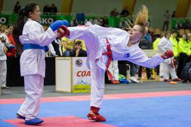 Karate Slovenija Open 2018