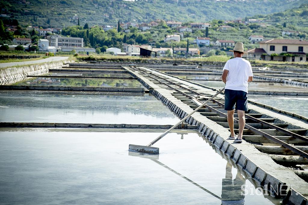 Sečoveljske soline