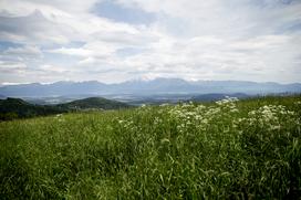 Ekološka učna kmetija Kršinar