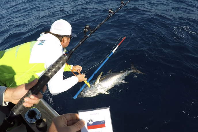 ribič Bojan Cestar velike ribe Big Fish tuna | Tekmovalci so z velikimi umetnimi vabami ujeli mečarice, wahooje in tune.  | Foto osebni arhiv