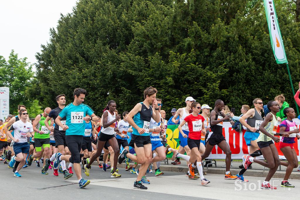 Maraton Treh src, Radenci