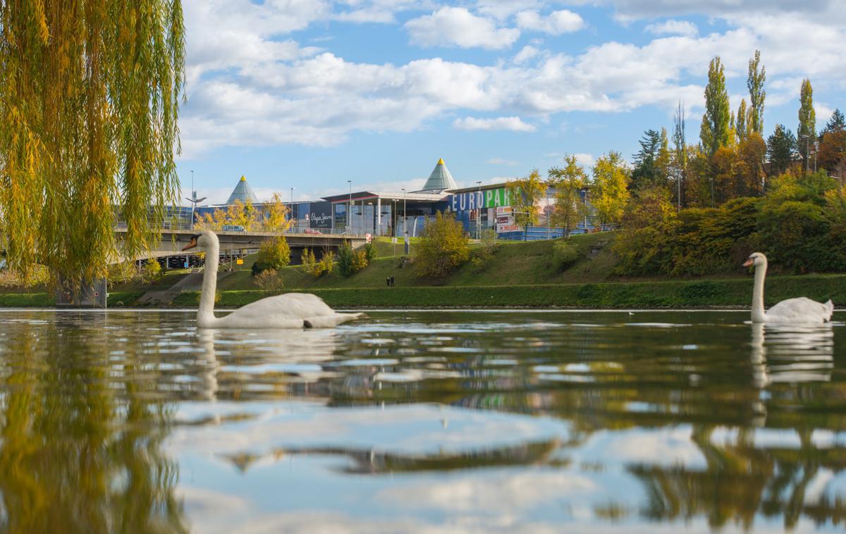 EUropark Maribor | Nakupovalno središče Europark Maribor (fotoarhiv Europarka)