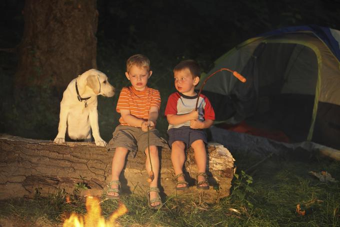 Nepozabni trenutki in stik z naravo. | Foto: 