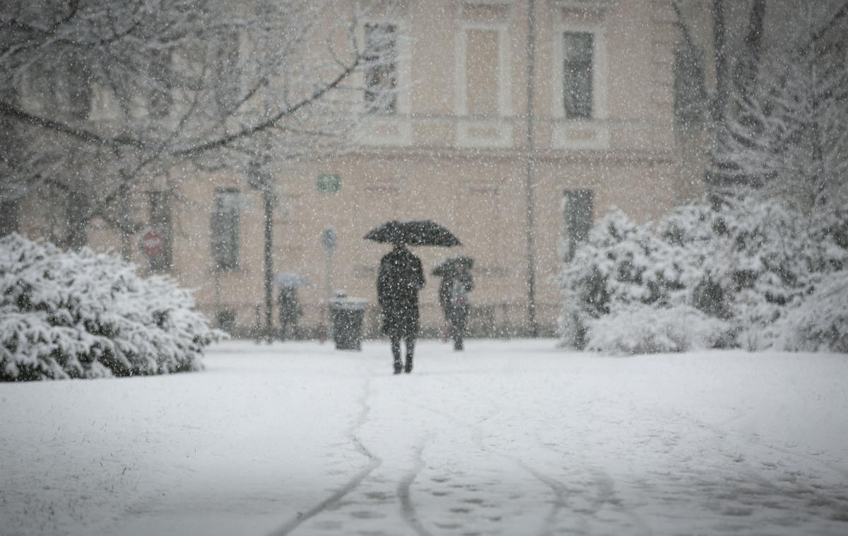 Sneg v Ljubljani. Sneženje. Promet. | Zapadlo bo od pet do deset centimetrov snega. | Foto Bojan Puhek