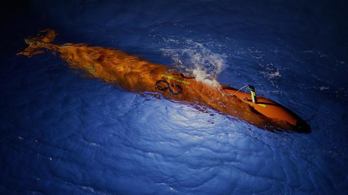 Samodejno plovilo Seabed Constructor išče ostanke malezijskega letala. | Foto: Ocean Infinity