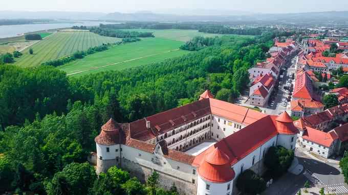 Grad Brežice | Foto: 