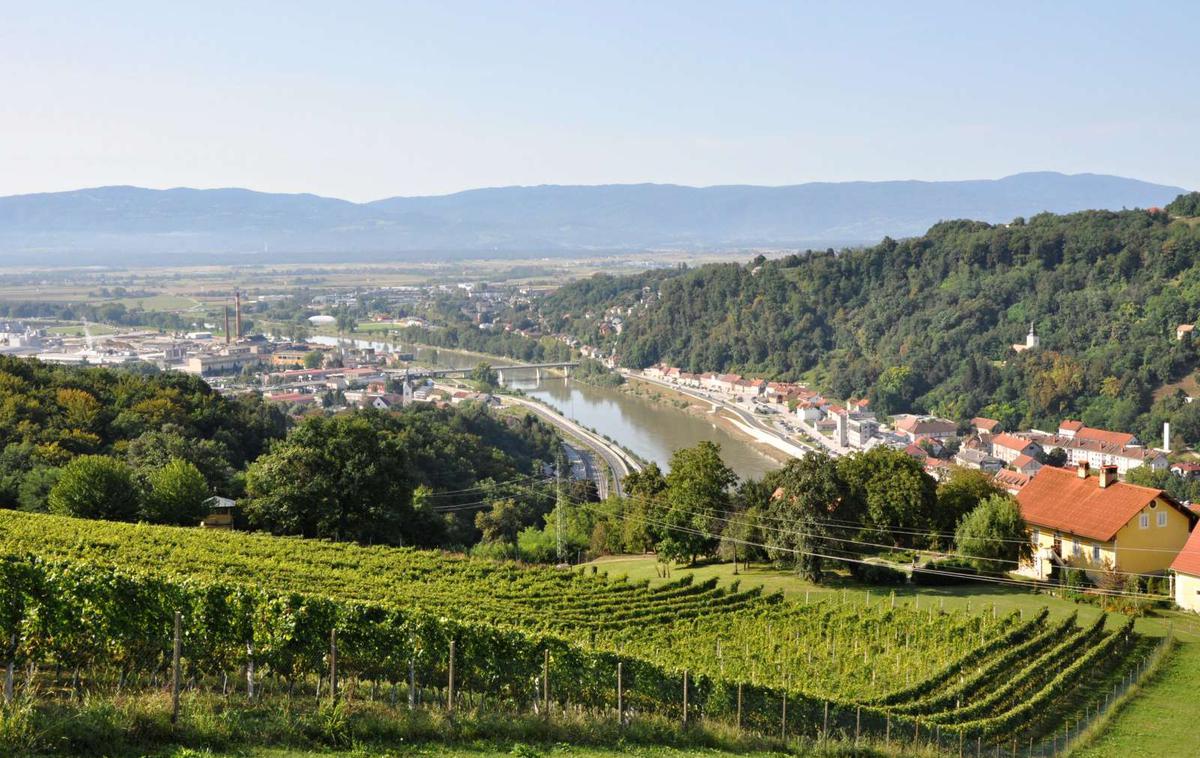 Krško | V Krškem po prvem krogu volitev dodatnih soočenj niso pripravili.  | Foto STA