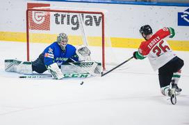 SP v hokeju (Ljubljana): Slovenija - Madžarska