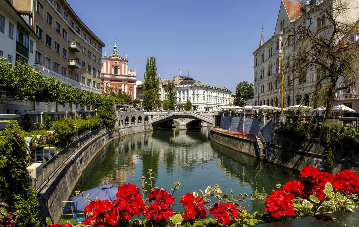 Ljubljana nepremičnine | V tekmo za župana prestolnice se je letos podalo devet kandidatov. | Foto Guliverimage