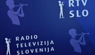 Anketa Dela: Glede referendumskega trojčka neopredeljena še dobra petina vprašanih