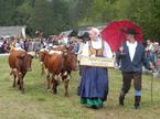 Kravji bal, Bohinj