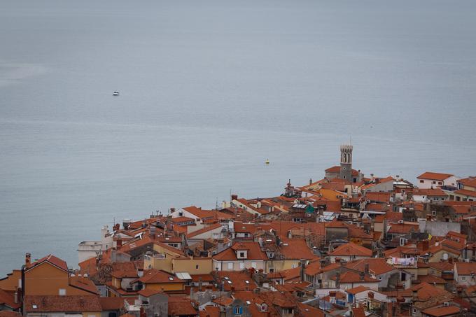 Pogled na Piranski zaliv | Foto: STA ,