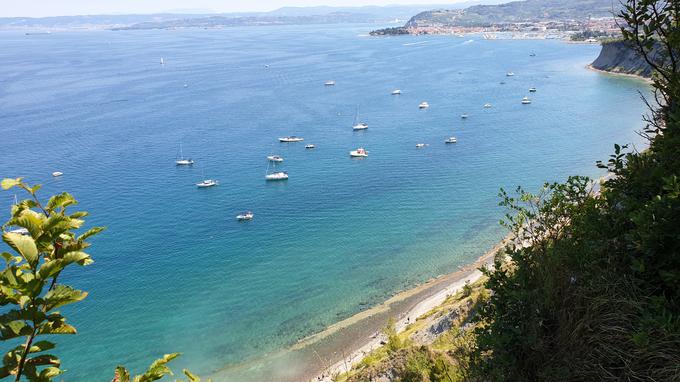 Med tednom je pod Belvederjem na celi dolžini od San Simona do zalivčka pred rtom Ronek do 50 plovil, redko več. Ob koncih tedna jih je tudi okoli 100. Tu je ob plaži zasidranih največ plovil. | Foto: Metka Prezelj