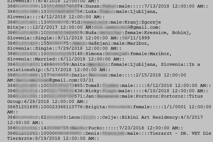 Slovenia.txt | Datoteka Slovenia.txt je pred dnevi skupaj z datotekami z imeni drugih držav splavala s hekerskih forumov in zaprtih kanalov družbenih omrežij, kot je Telegram. Včasih jo je bilo mogoče videti le proti plačilu, zdaj pa je postala javno dostopna, saj se je nekdo odločil, da so ti podatki zanj postali ničvredni. | Foto Matic Tomšič / Posnetek zaslona