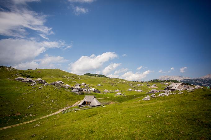 Pastirske koče so ena najbolj prepoznavnih vedut Velike planine, pastirsko naselje, znamenito tudi po ovalni obliki bajt, pa velja za največje in najstarejše v Evropi, ki je ohranilo individualno pastirstvo. To pomeni, da vsak skrbi za svojo živino, izdeluje sir in kislo mleko. | Foto: Žiga Zupan/Sportida