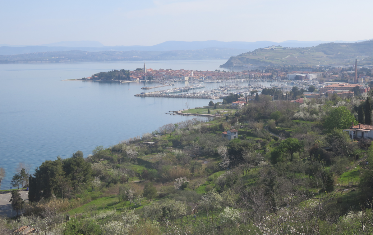 Izola | Foto STA