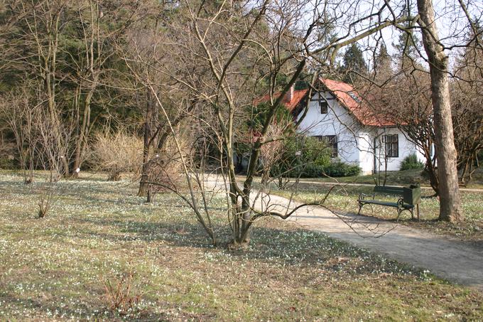 Botanični vrt Biotehniške fakultete | Foto: Biotehniška fakulteta