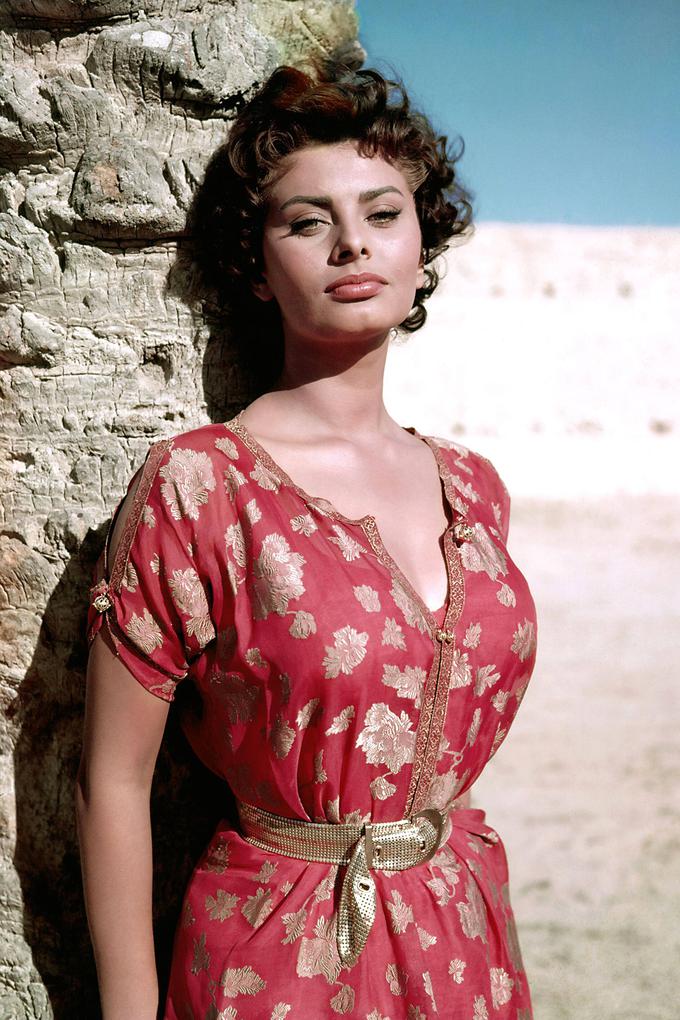 Sophia Loren | Foto: Guliverimage