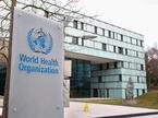 World health organization WHO logo stavba