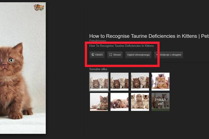 Uporabnik lahko nahajališče fotografije zdaj le obišče, do nje pa prek Googla neposredno ne more več. Desni klik na fotografijo in izbira možnosti Odpri sliko v novem zavihku, ki fotografijo odpre na način, kot jo je včasih Google, pri nekaterih fotografijah še deluje (vidimo jih lahko v polni ločljivosti), pri nekaterih pa ne.  | Foto: Matic Tomšič