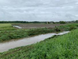 Slovenska Bistrica poplave njive