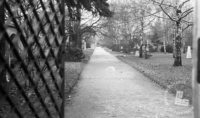 Spominski park Navje leta 1968 | Foto: Marjan Ciglič, hrani MNZS