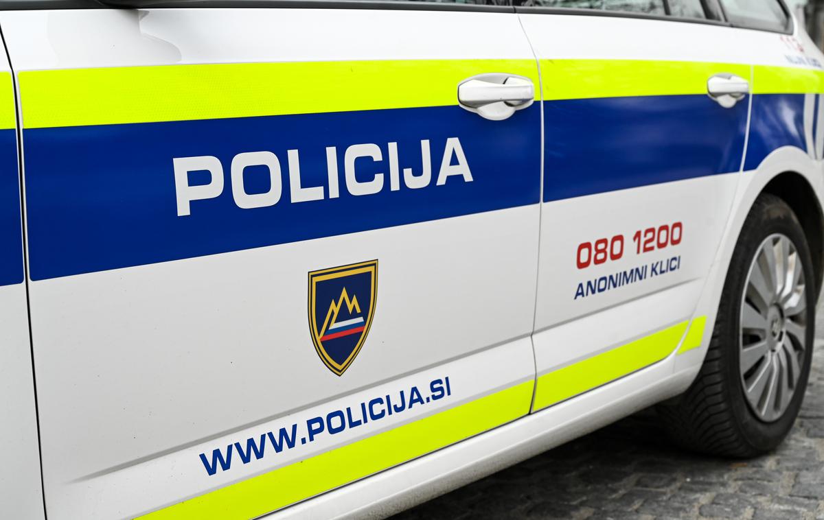 Policija, Slovenija,  policijski avto | O Nemcu žal ni nobenih sledi.  | Foto Shutterstock