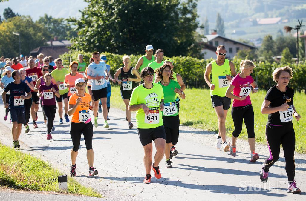 Konjiški maraton 2016