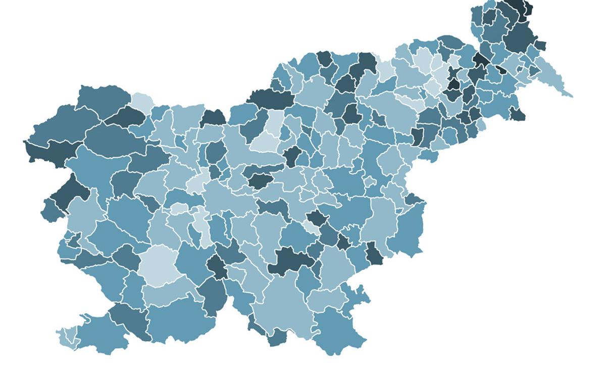 Slovenija lokalne volitve | Foto DVK