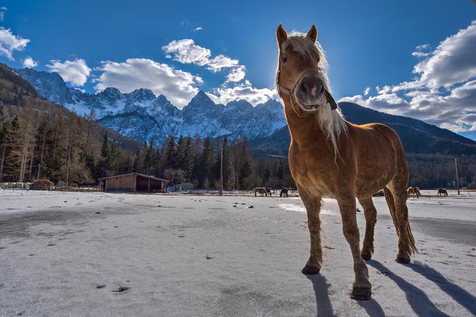 Kranjska Gora | Foto: Thinkstock