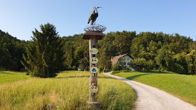 Živalski vrt ZOO park Rožman je približno 20 kilometrov od Ljubljane, v vasi Vrzdenec pri Horjulu. | Foto: Andreja Lončar