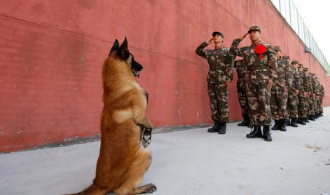 Bidnov pes Commander zaradi agresivnega vedenja zapustil Belo hišo